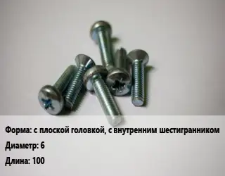 Винт с плоской головкой, с внутренним шестигранником 6х100